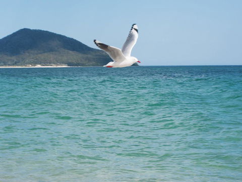 Architectural Design On The Beach - Accommodation QLD 1