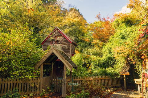 Arnica Views Summit Retreat - Accommodation QLD 1