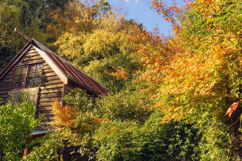 Arnica Views Summit Retreat - Accommodation QLD 2