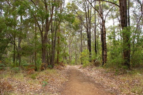 Ashleigh - Accommodation QLD 2