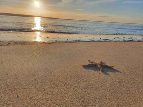 Matildas Of Kangaroo Island - Accommodation QLD 1