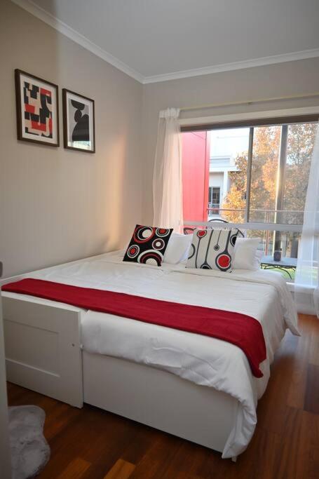 Mawson Red - Free Pool Access -Onsite Parking-Netflix-5 Mins To Mawson Interchange - Accommodation QLD 3