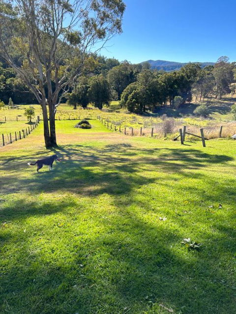 Misty Mountain Cottage At Krambach - Accommodation QLD 2