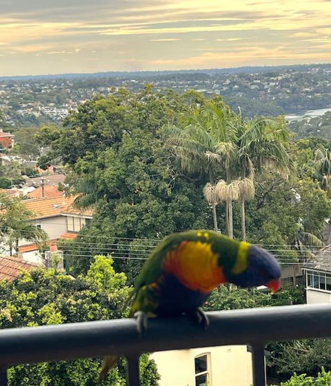Mosman Views, 2bed, Parking, 15min Walk To Beach - Accommodation QLD 1