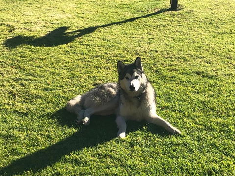 Mountain Culture Farm Stay - Pet Friendly - Accommodation QLD 3