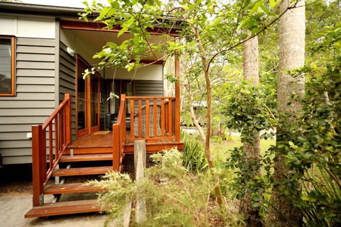Mt Warning Rainforest Park - Accommodation QLD 0