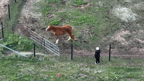 Myrtle At Lexington Park - Accommodation QLD 1