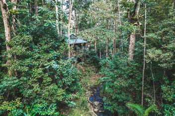 Narrows Escape Rainforest Retreat with Accommodation QLD