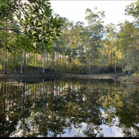 Oakey Creek Country Retreat Kenilworth - Accommodation QLD 2
