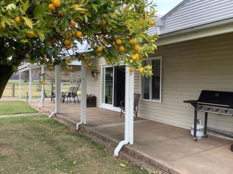 Orange Tree Cottage - Accommodation QLD 0