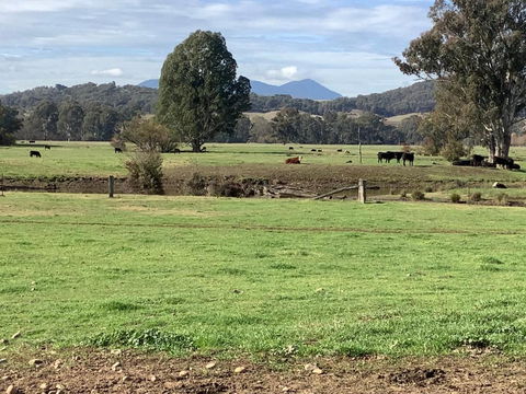 Orange Tree Cottage - Accommodation QLD 3