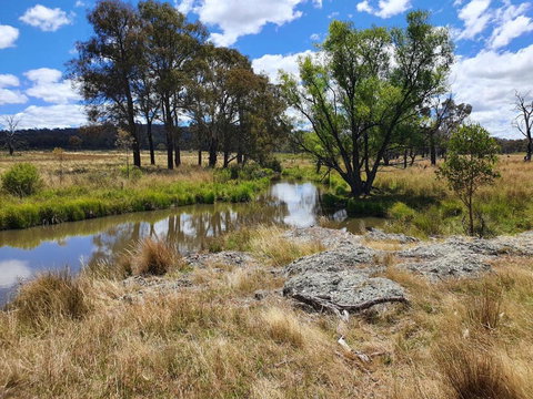 Parlour Mountain Cottage - Accommodation QLD 1
