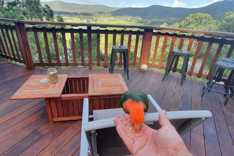 Paterson Skywalk - Accommodation QLD 3