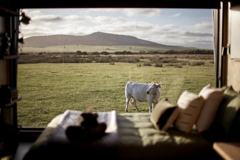 Peter The Tiny Cabin In Esperance - Accommodation QLD 0