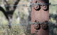 Pichi Richi Park - thumb 3