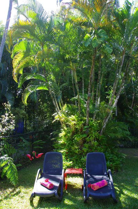 Pink Flamingo Resort - Accommodation QLD 3
