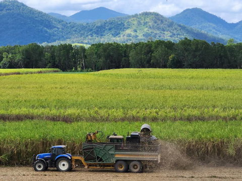 Pinnacolo Farm Stay - Accommodation QLD 1