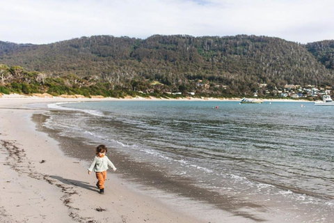 Pirates Retreat By Tiny Away - Accommodation QLD 3