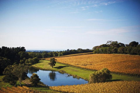 Port Phillip Estate - Accommodation QLD 2