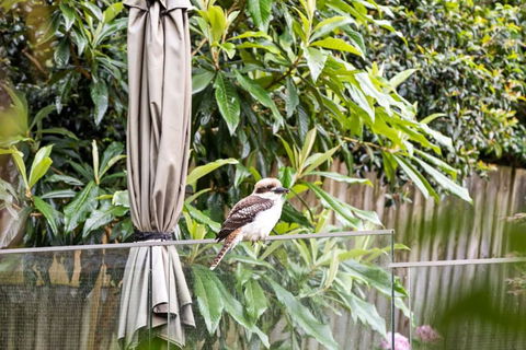Quaint Queen Room - Central Location At Pymble - Shared Bathroom - Accommodation QLD 1