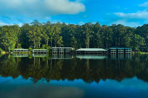 RAC Karri Valley Resort - Accommodation QLD 2