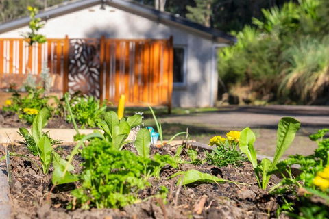 Pure Valley Estate - Accommodation QLD 3