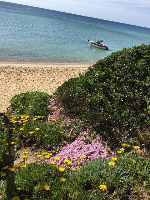 Quiet, Luxurious Guest House - Couples Retreat - Accommodation QLD 1