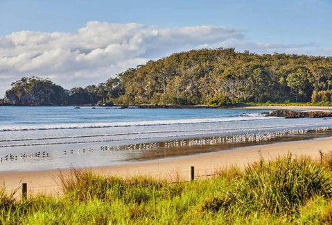 Rare Broulee Beachfront House - Accommodation QLD 3