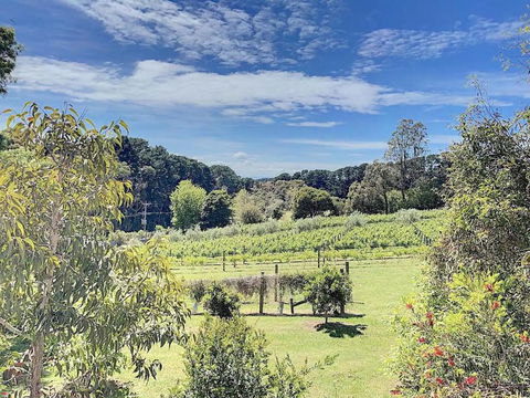 Red Hill Lane 5BedroomVineyard&RuralValleyViews - Accommodation QLD 3