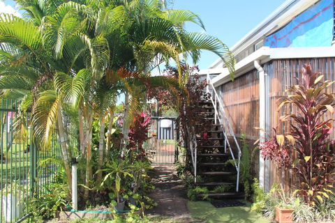Asylum Cairns Hostel - Accommodation QLD 2