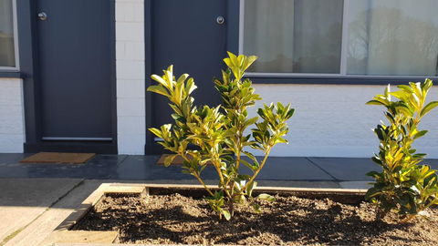 Australian Hotel Motel - Accommodation QLD 2