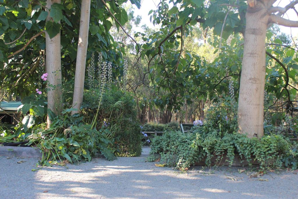 Avonsleigh VIC Accommodation QLD