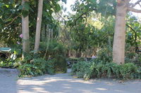 Book Macclesfield Accommodation Vacations Accommodation QLD Accommodation QLD