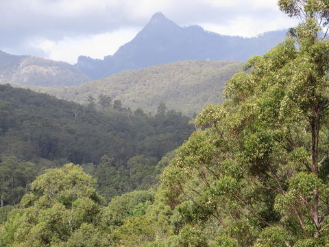 Babbling Brook Retreat - Accommodation QLD 2