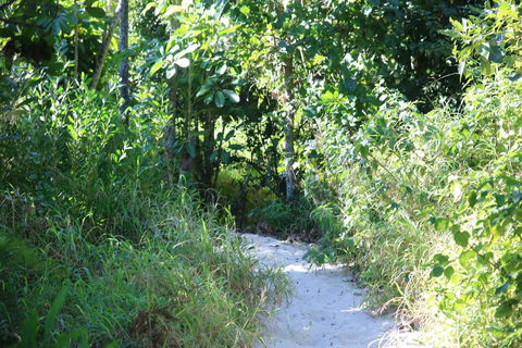 Backpackers Inn On The Beach - Accommodation QLD 2
