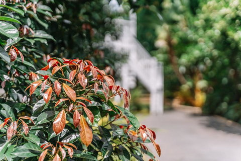 Balmoral Queenslander - Accommodation QLD 2