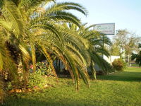 Book Winton Accommodation Vacations Accommodation QLD Accommodation QLD