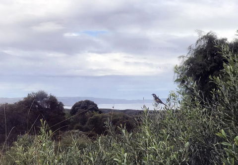 Banksia @ Cosy Corner - Accommodation QLD 1