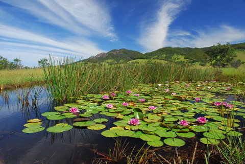 Barrington Hideaway- River Cottages - Accommodation QLD 0