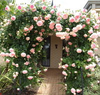 Baudins of Busselton Bed and Breakfast - Accommodation QLD