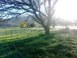 Book Mongans Bridge Accommodation Accommodation QLD Accommodation QLD