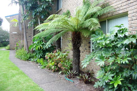 Beachfront Apartments - Accommodation QLD 0