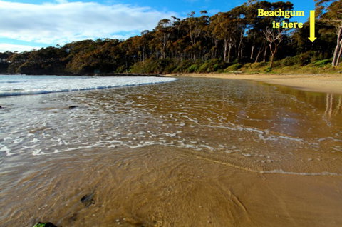 Beachgum - Accommodation QLD 2