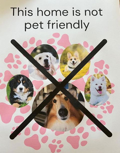 Robey - Robe - Accommodation QLD 1