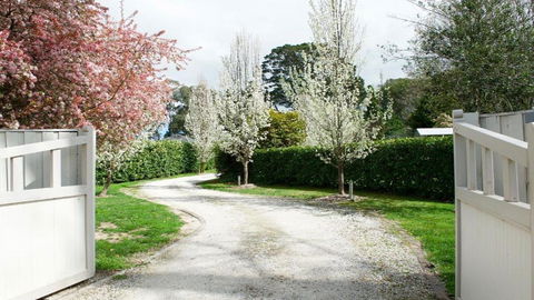 Robin Hill Manor - Accommodation QLD 2