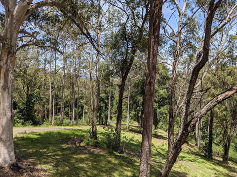 Romantic Cabin Escapes Barrington Tops - Lorikeet - Accommodation QLD 1