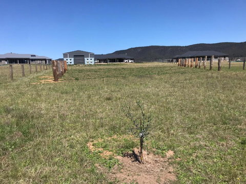 Rosehill Vines - Accommodation QLD 3