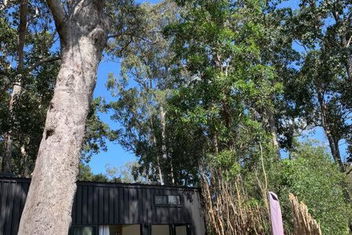 Rustic Retreat with Accommodation QLD