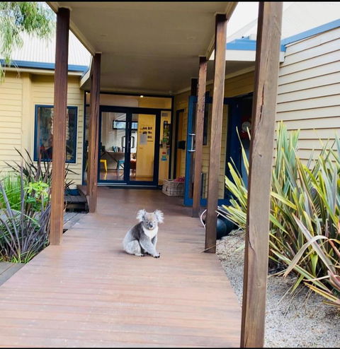 Sandpiper Motel Apollo Bay - Accommodation QLD 3