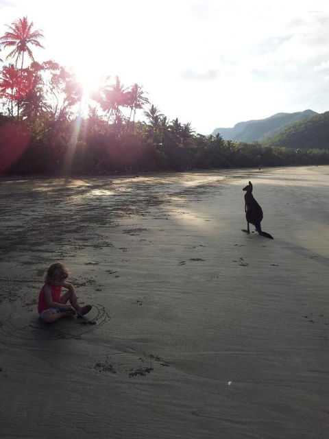 Seaforth Holiday Units - Accommodation QLD 0